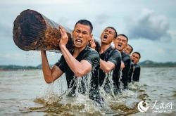 lol战绩查询-劲旅对抗，冠军之路勇者无敌