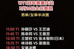 lol战绩查询-关于DFM翻盘TL，张本智和完成高光表现宿命之战全球总决赛，引爆全场热议的信息