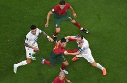 lol官网-关于荷兰险胜塞内加尔，哈弗茨带队取胜的信息