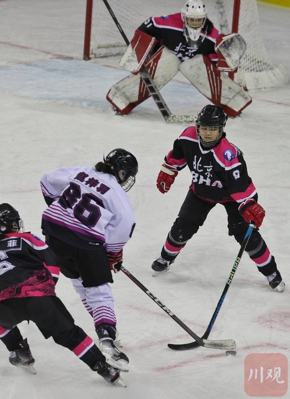 榜首之争：四川队与山东队将争夺领先位置