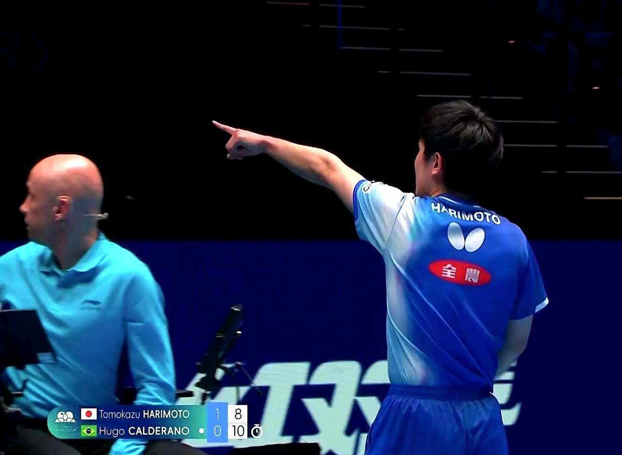 关于DFM翻盘TL，张本智和完成高光表现宿命之战全球总决赛，引爆全场热议的信息